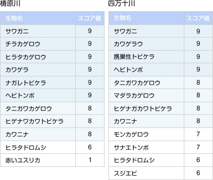 水生生物調査結果