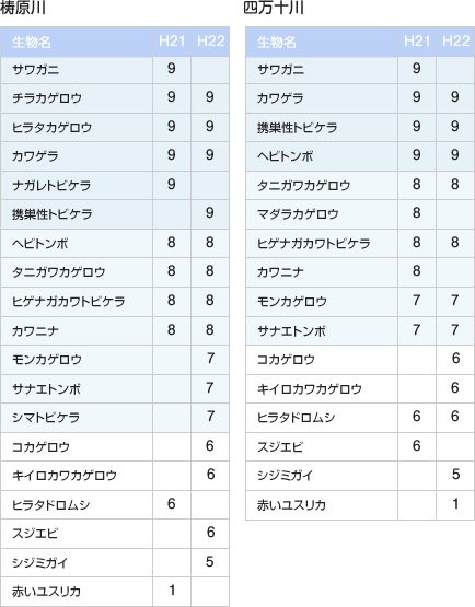 水生生物調査結果