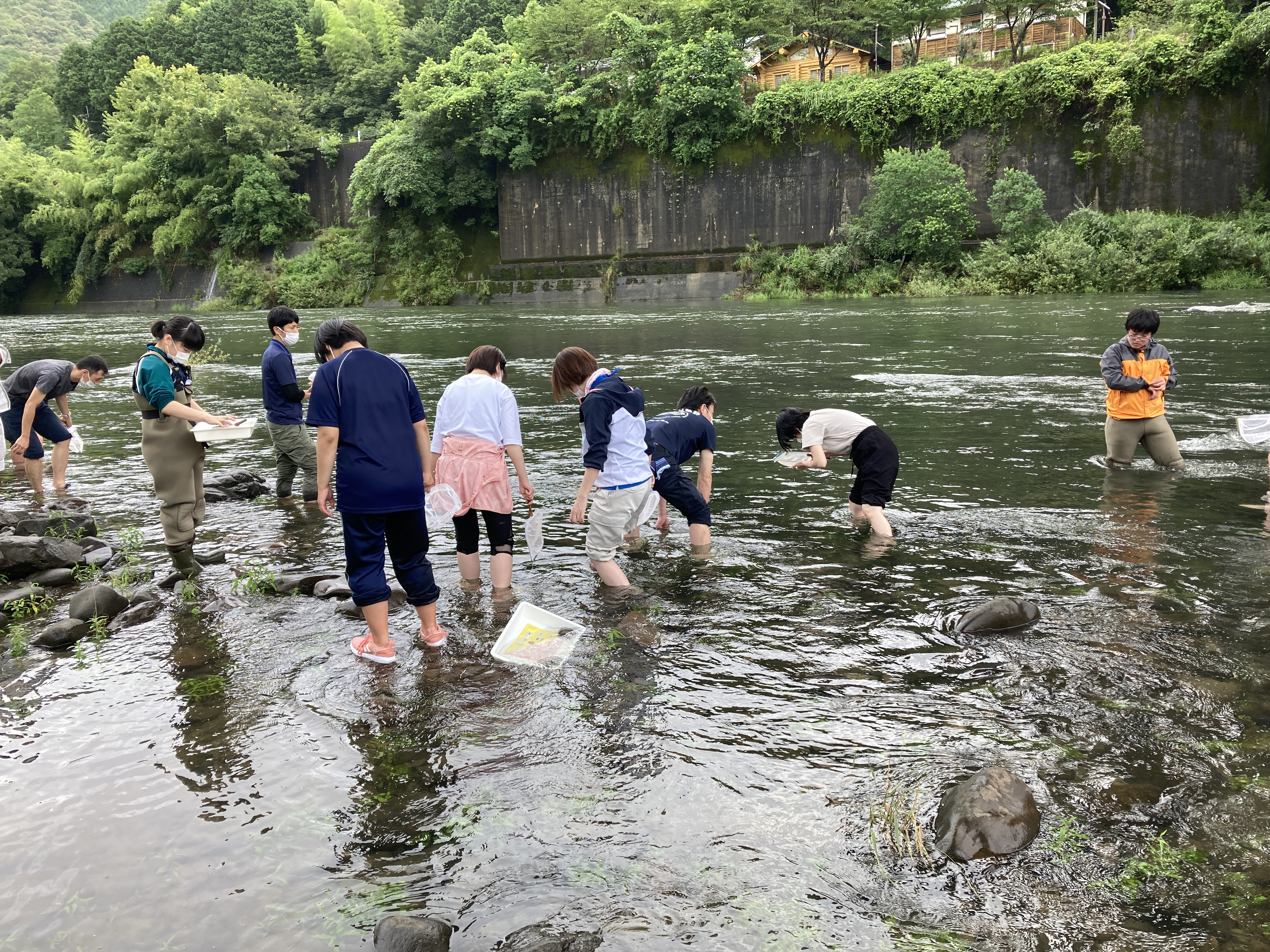 清流基準調査の様子 